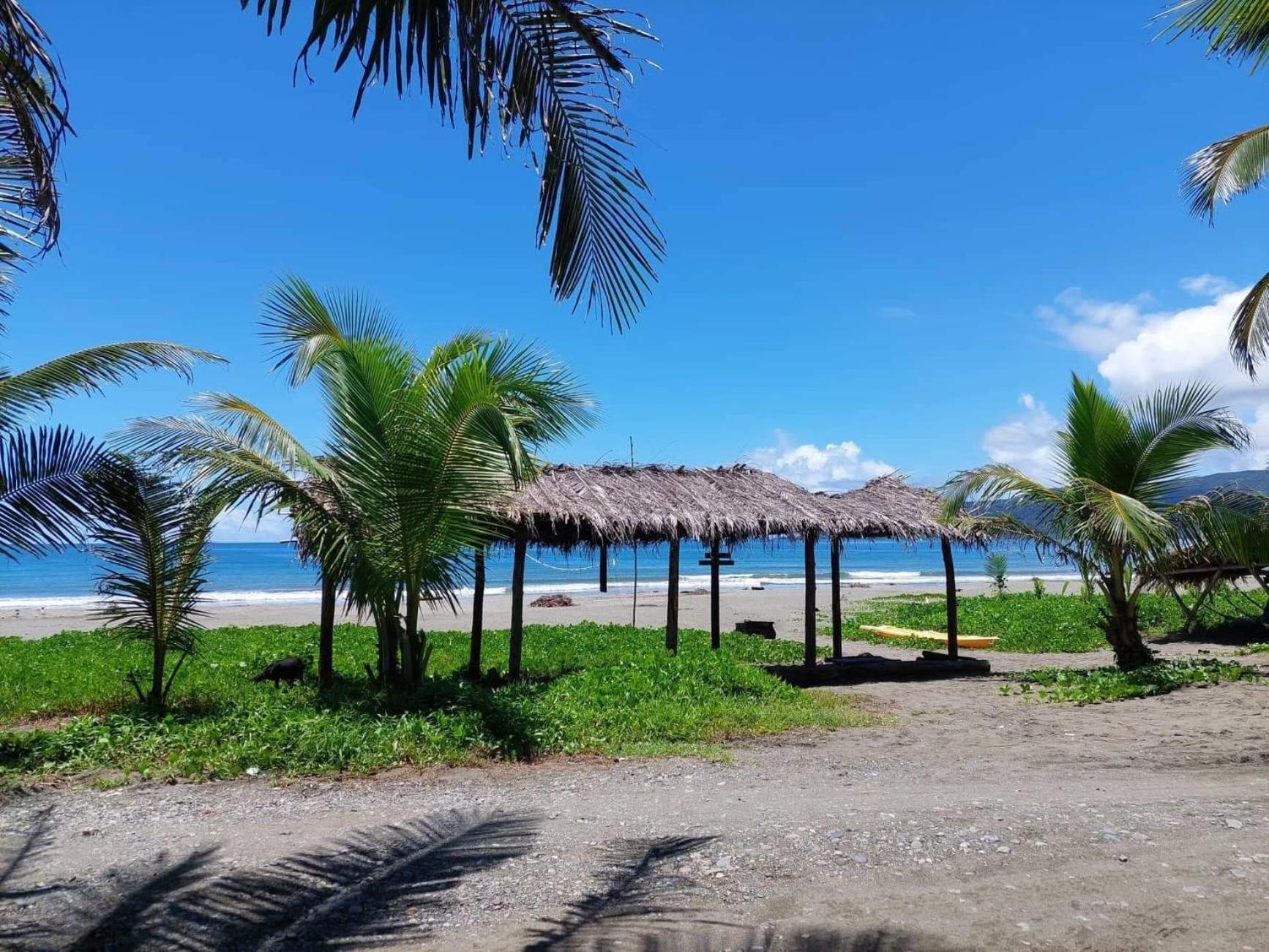 North Shore Beach Resort Baler Ngoại thất bức ảnh